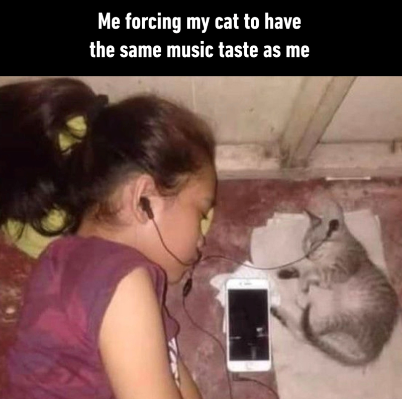 Me forcing my cat to have the same music taste as me