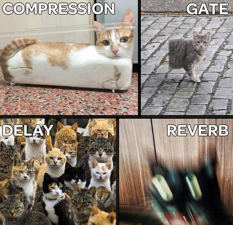 COMPRESSION GATE DELAY REVERB
