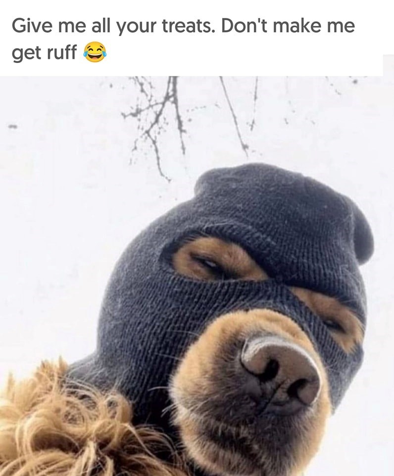 Give me all your treats. Don't make me get ruff