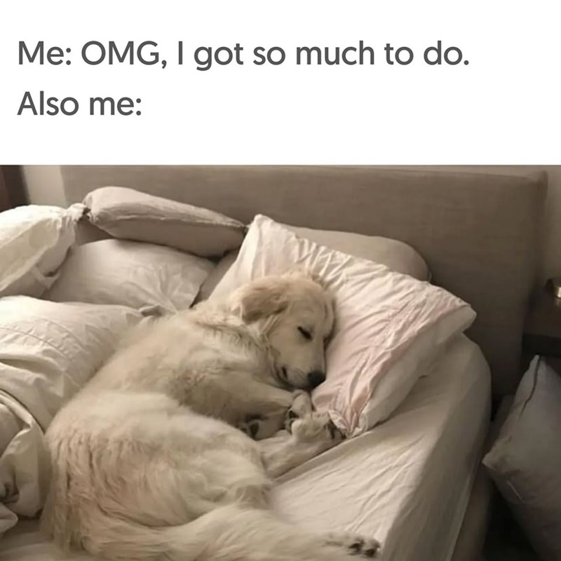 Me: OMG, I got so much to do. Also me: