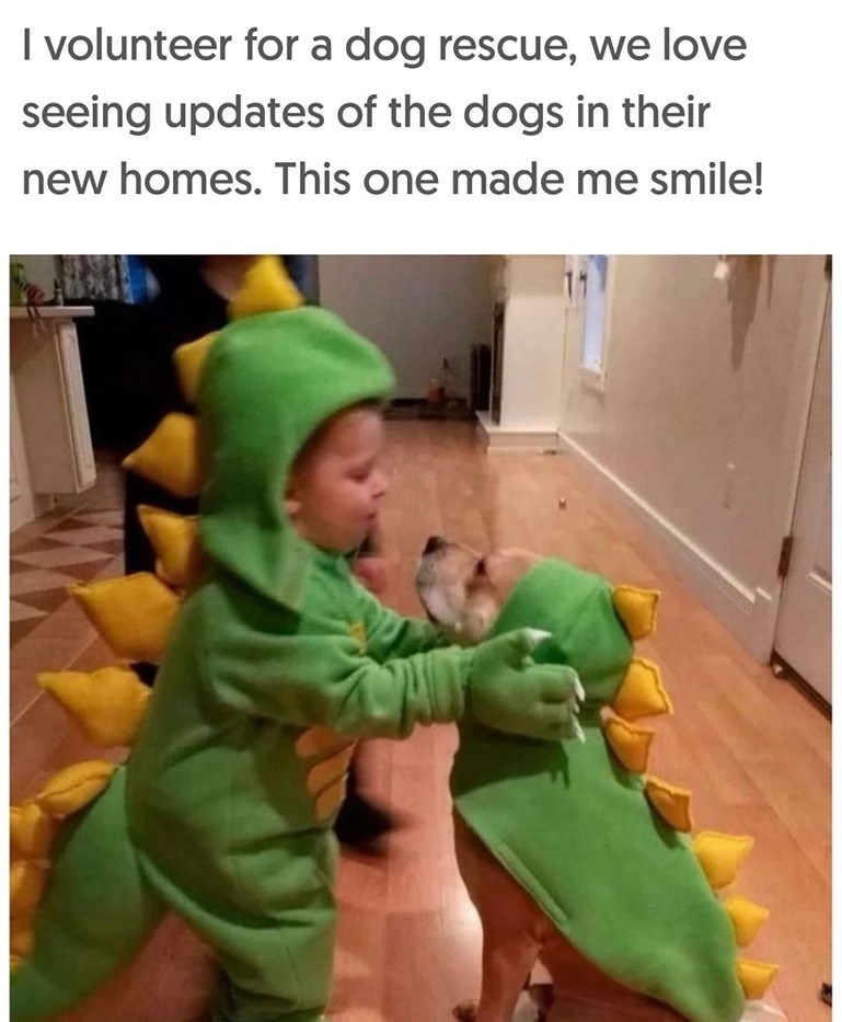 I volunteer for a dog rescue, we love seeing updates of the dogs in their new homes. This one made me smile!