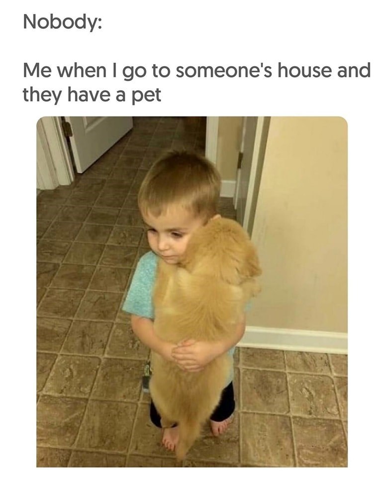 Nobody: Me when I go to someone's house and they have a pet