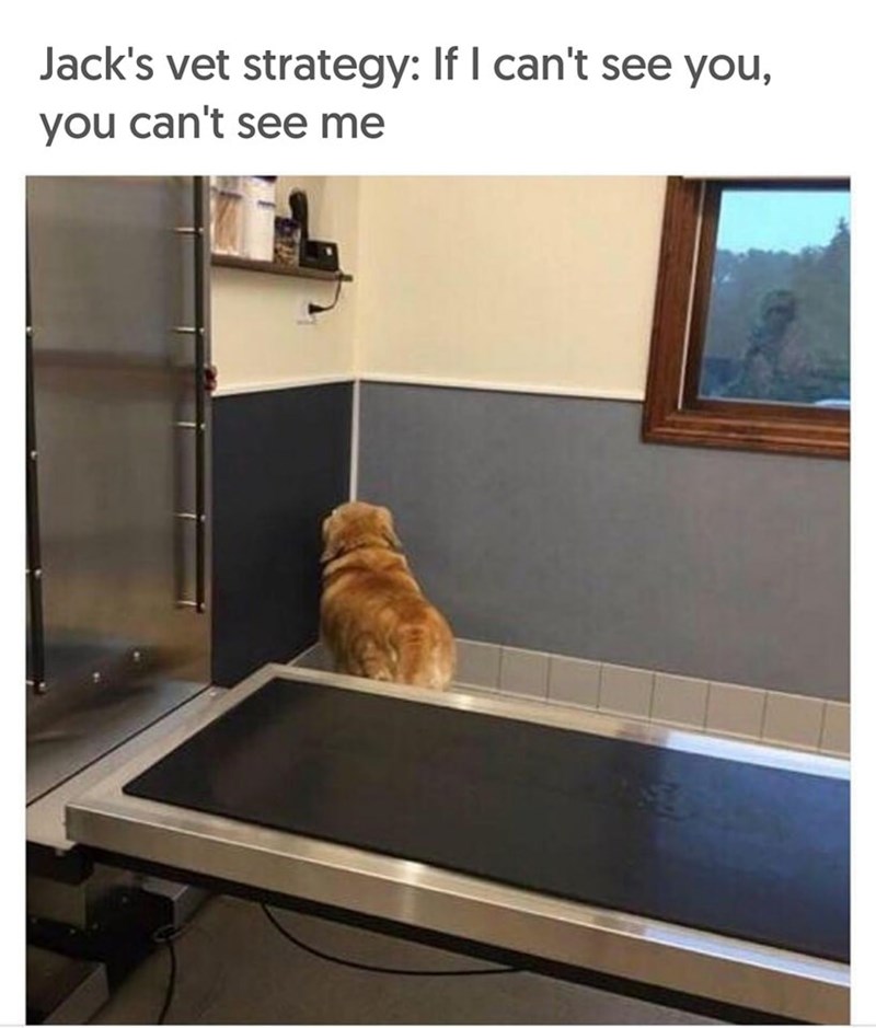 Jack's vet strategy: If I can't see you, you can't see me