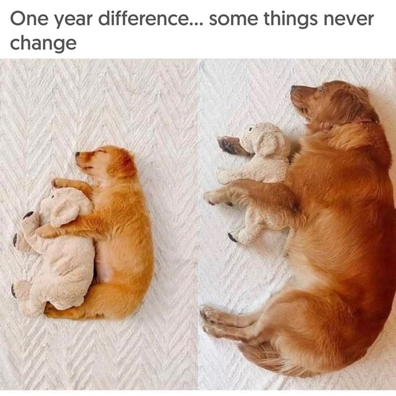 One year difference... some things never change