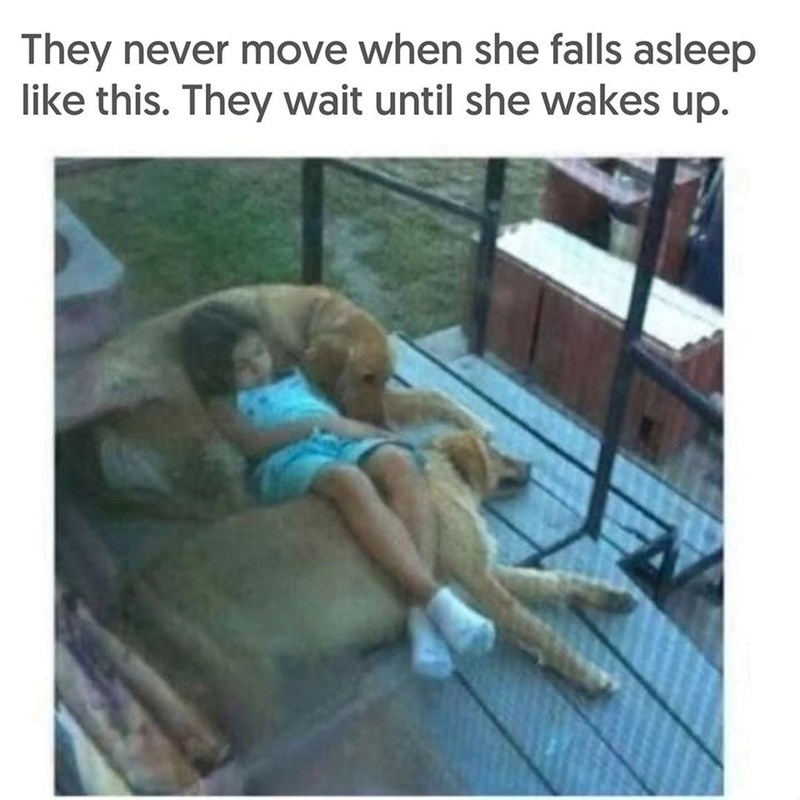 They never move when she falls asleep like this. They wait until she wakes up.