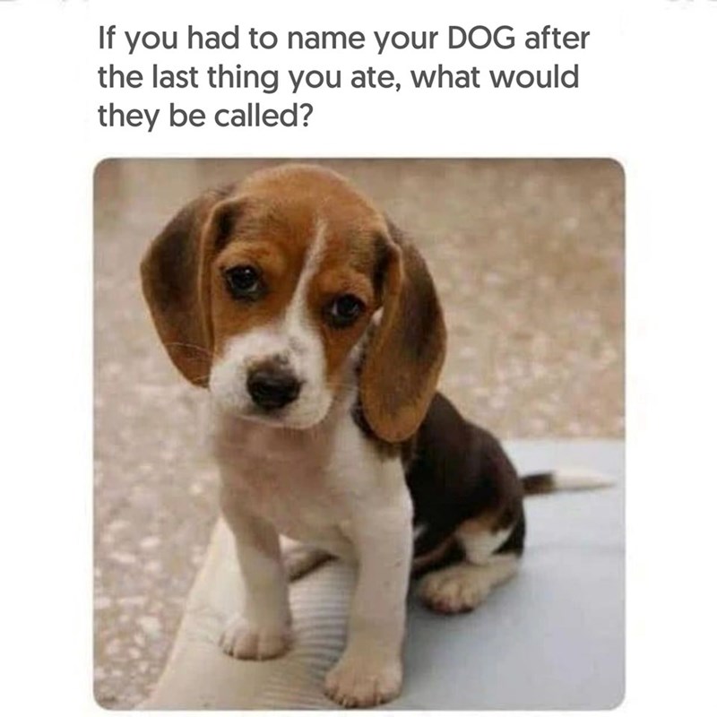 If you had to name your DOG after the last thing you ate, what would they be called?
