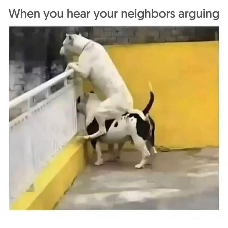When you hear your neighbors arguing