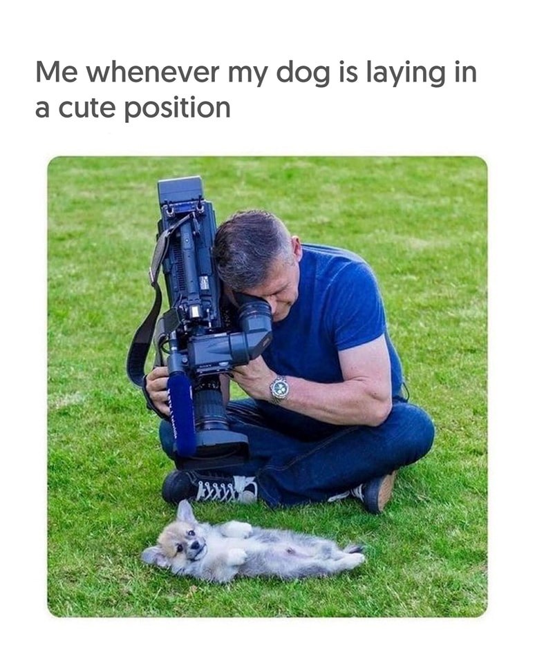 Me whenever my dog is laying in a cute position