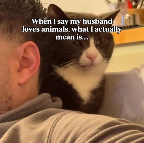 When I say my husband loves animals, what I actually mean is....