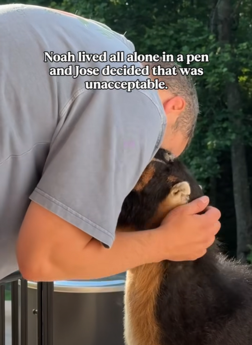 Noah lived all alone in a pen and Jose decided that was unacceptable.