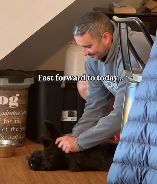 Dg adjective\d Ffor life. of the hou so: Ruff L Fast forward to today...