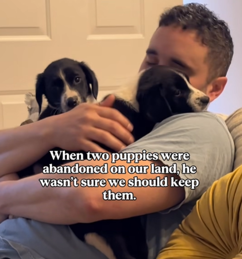 When two puppies were abandoned on our land, he wasn't sure we should keep them.