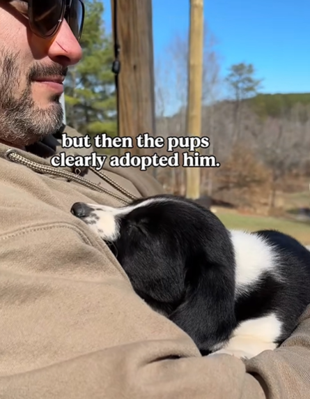 but then the pups clearly adopted him.