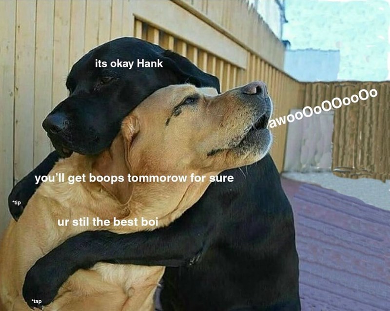 its okay Hank you'll get boops tommorow for sure tip ur stil the best boi *tap awoo0o00oo00