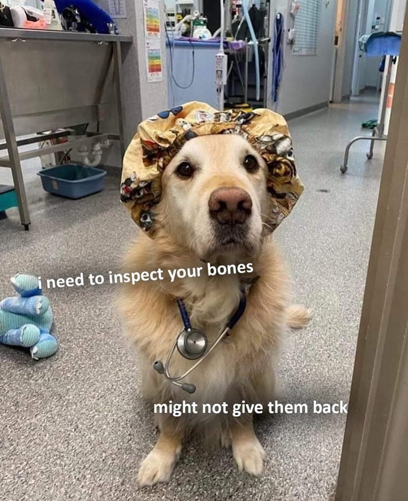 i need to inspect your bones might not give them back