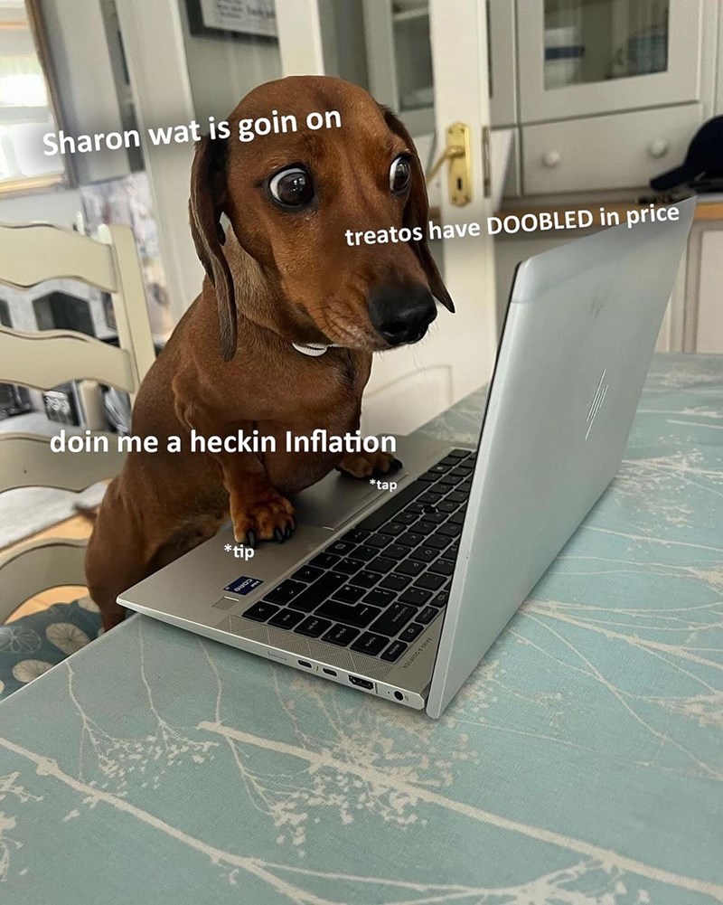 Sharon wat is goin on treatos have DOOBLED in price doin me a heckin Inflation *tap *tip SANG&GLUFSEN