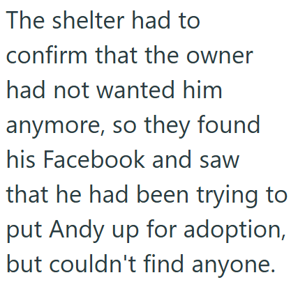 The shelter had to confirm that the owner had not wanted him anymore, so they found his Facebook and saw that he had been trying to put Andy up for adoption, but couldn't find anyone.
