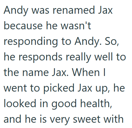Andy was renamed Jax because he wasn't responding to Andy. So, he responds really well to the name Jax. When I went to picked Jax up, he looked in good health, and he is very sweet with