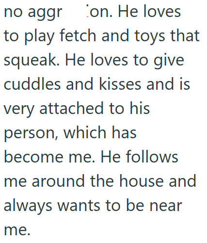 no aggr on. He loves to play fetch and toys that squeak. He loves to give cuddles and kisses and is very attached to his person, which has become me. He follows me around the house and always wants to be near me.
