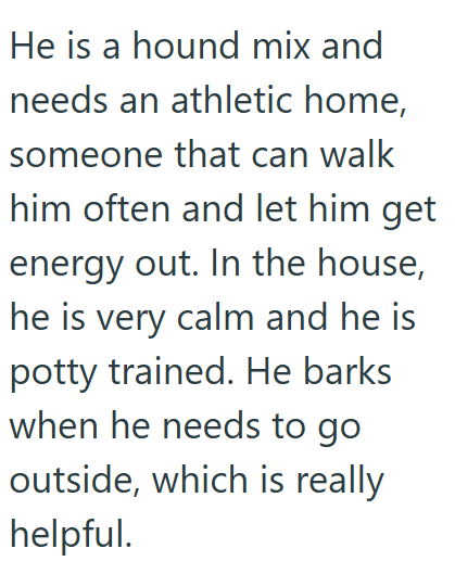 He is a hound mix and needs an athletic home, someone that can walk him often and let him get energy out. In the house, he is very calm and he is potty trained. He barks when he needs to go outside, which is really helpful.