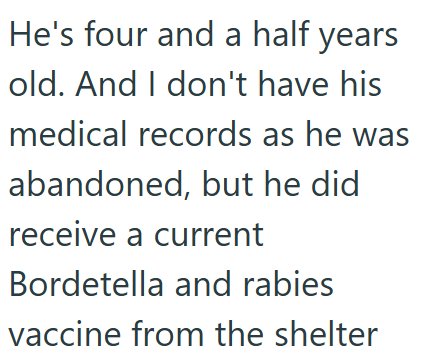 He's four and a half years old. And I don't have his medical records as he was abandoned, but he did receive a current Bordetella and rabies vaccine from the shelter
