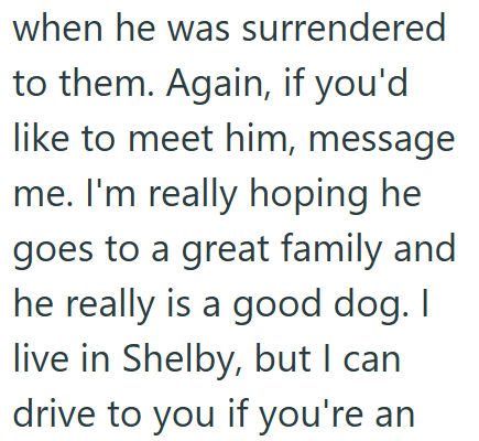 when he was surrendered to them. Again, if you'd like to meet him, message me. I'm really hoping he goes to a great family and he really is a good dog. I live in Shelby, but I can drive to you if you're an
