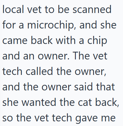 local vet to be scanned for a microchip, and she came back with a chip and an owner. The vet tech called the owner, and the owner said that she wanted the cat back, so the vet tech gave me