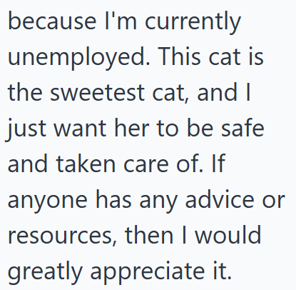 because I'm currently unemployed. This cat is the sweetest cat, and I just want her to be safe and taken care of. If anyone has any advice or resources, then I would greatly appreciate it.