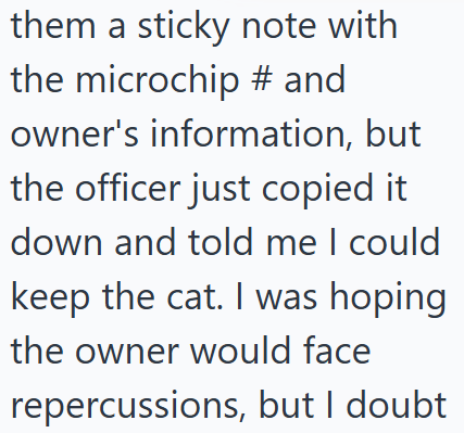 them a sticky note with the microchip # and owner's information, but the officer just copied it down and told me I could keep the cat. I was hoping the owner would face repercussions, but I doubt