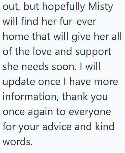 out, but hopefully Misty will find her fur-ever home that will give her all of the love and support she needs soon. I will update once I have more information, thank you once again to everyone for your advice and kind words.