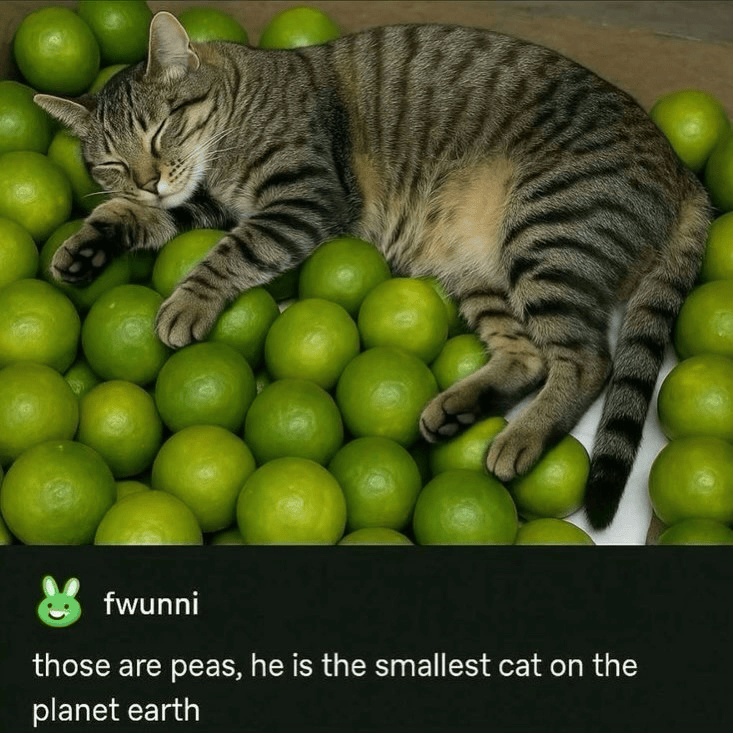 fwunni those are peas, he is the smallest cat on the planet earth