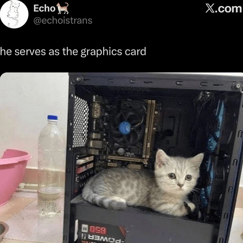 Echo @echoistrans he serves as the graphics card 099 X.com n