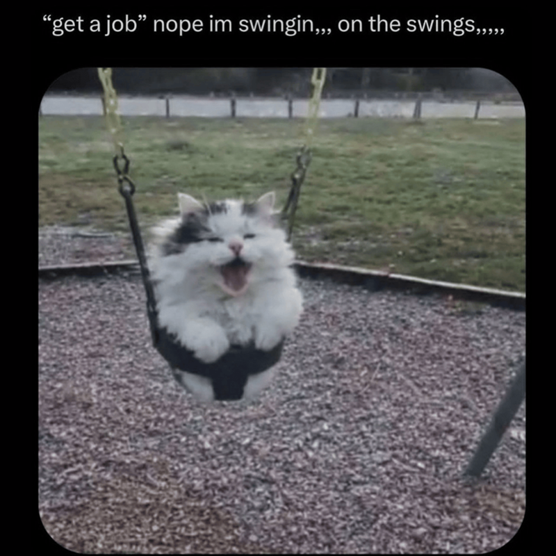 “get a job” nope im swingin,,, on the swings,,,,,