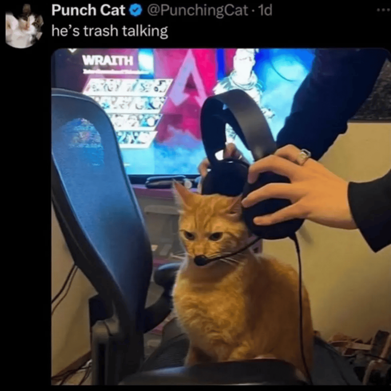 Punch Cat @PunchingCat-1d he's trash talking WRAITH