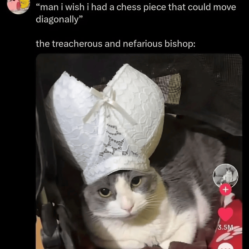 “man i wish i had a chess piece that could move diagonally" the treacherous and nefarious bishop: 3.5M