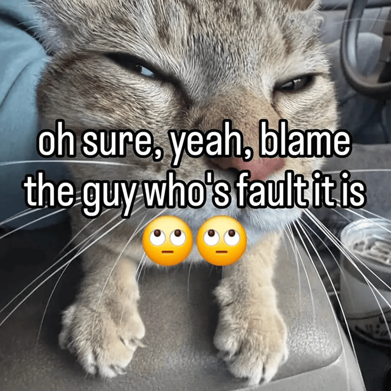 oh sure, yeah, blame the guy who's fault it is