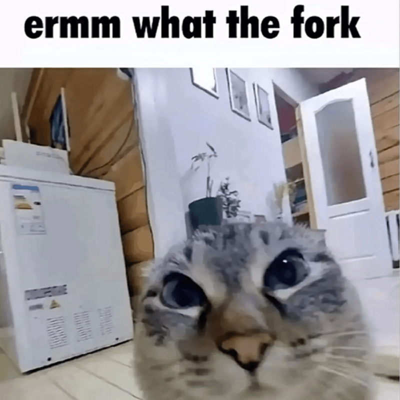ermm what the fork