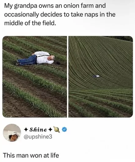 My grandpa owns an onion farm and occasionally decides to take naps in the middle of the field. Shine+ @upshine3 This man won at life