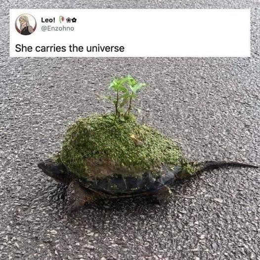 Leo! @Enzohno She carries the universe