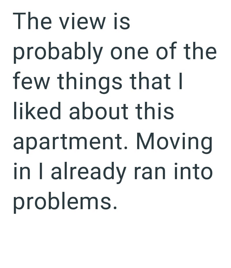 The view is probably one of the few things that I liked about this apartment. Moving in I already ran into problems.