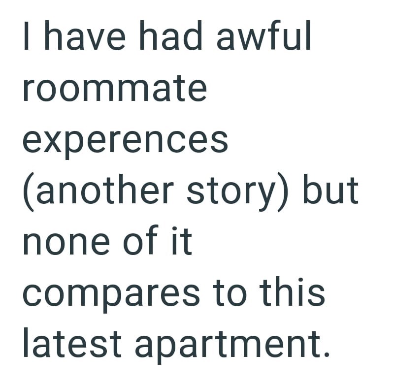 I have had awful roommate experences (another story) but none of it compares to this latest apartment.