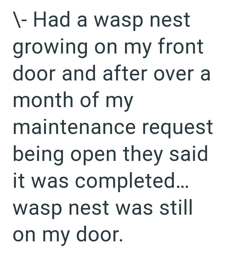 \- Had a wasp nest growing on my front door and after over a month of my maintenance request being open they said it was completed... wasp nest was still on my door.