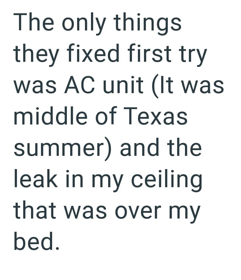 The only things they fixed first try was AC unit (It was middle of Texas summer) and the leak in my ceiling that was over my bed.
