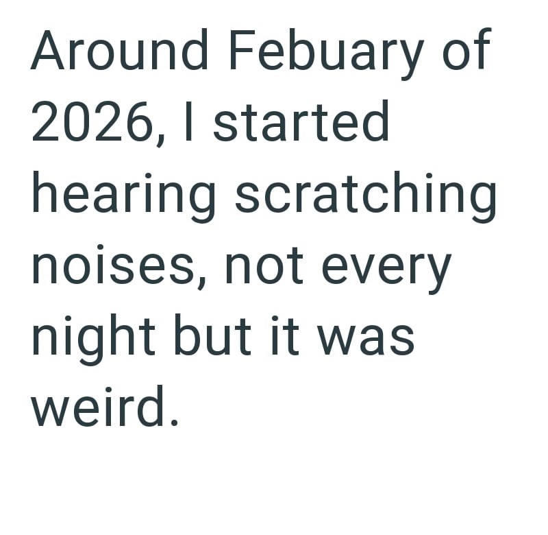 Around Febuary of 2026, I started hearing scratching noises, not every night but it was weird.