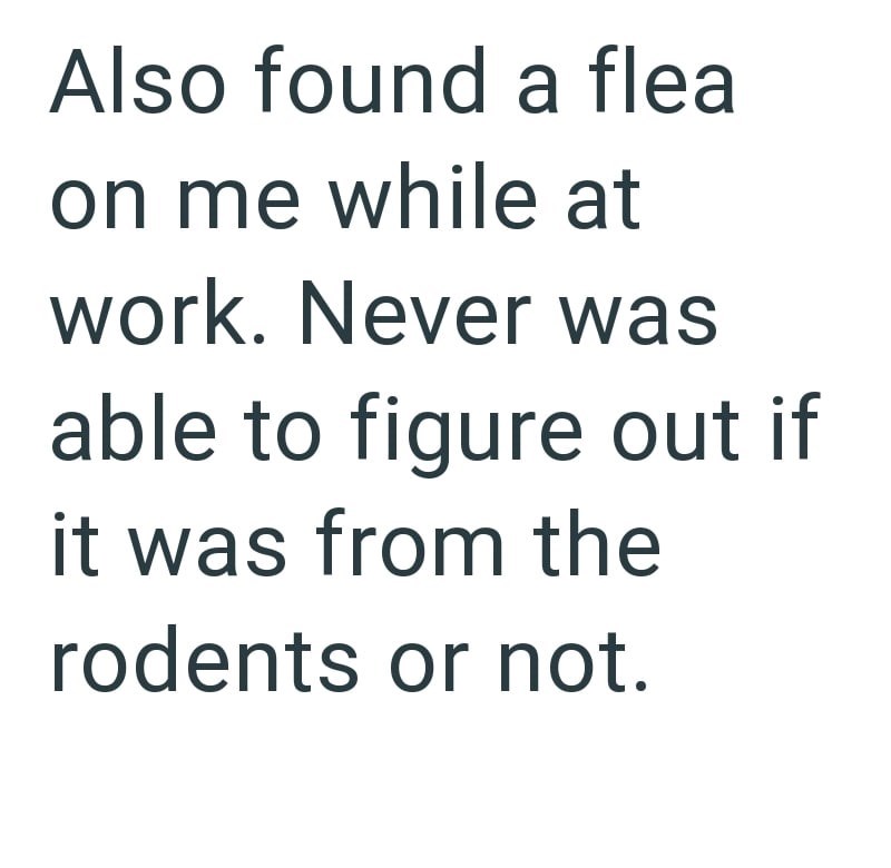 Also found a flea on me while at work. Never was able to figure out if it was from the rodents or not.