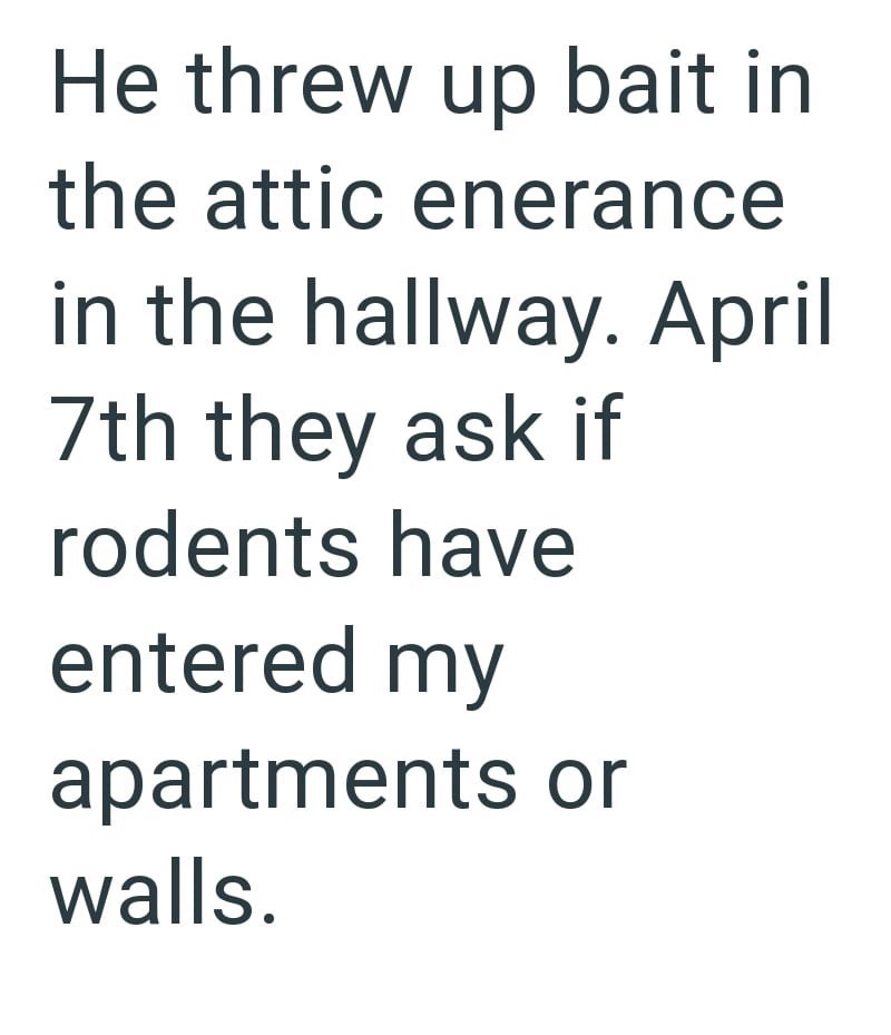 He threw up bait in the attic enerance in the hallway. April 7th they ask if rodents have entered my apartments or walls.