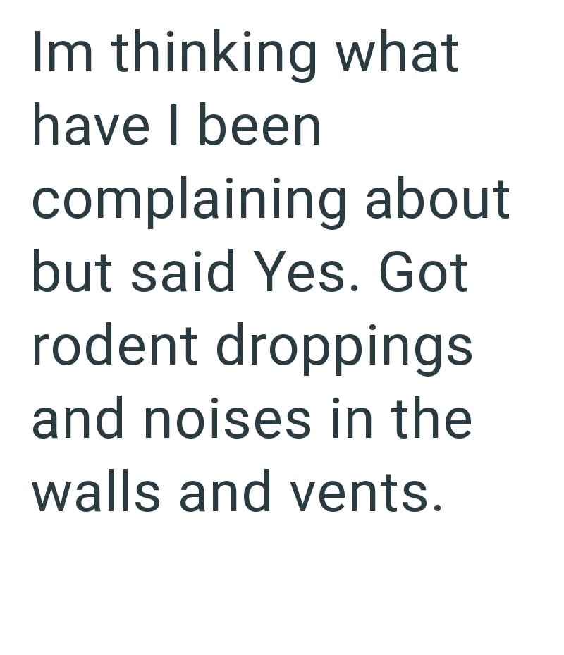 Im thinking what have I been complaining about but said Yes. Got rodent droppings and noises in the walls and vents.