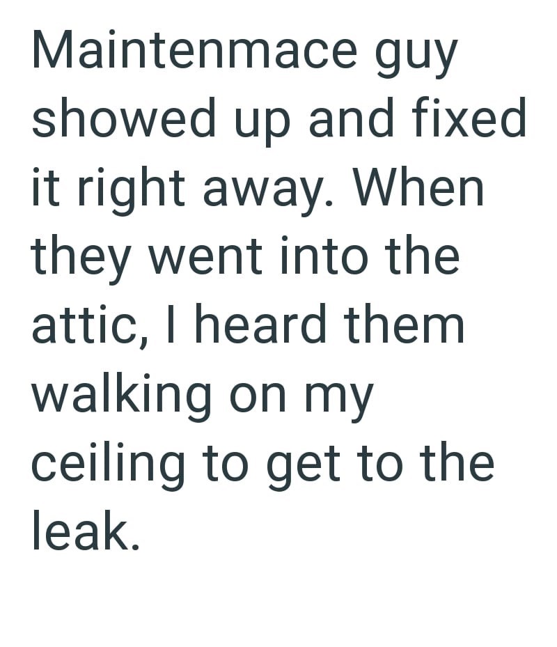 Maintenmace guy showed up and fixed it right away. When they went into the attic, I heard them walking on my ceiling to get to the leak.