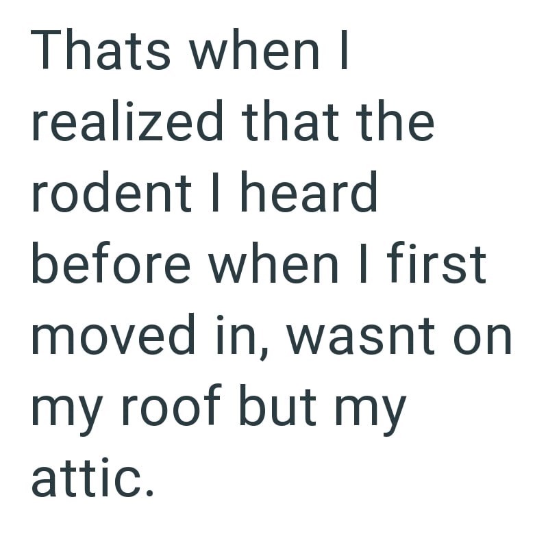 Thats when I realized that the rodent I heard before when I first moved in, wasnt on my roof but my attic.