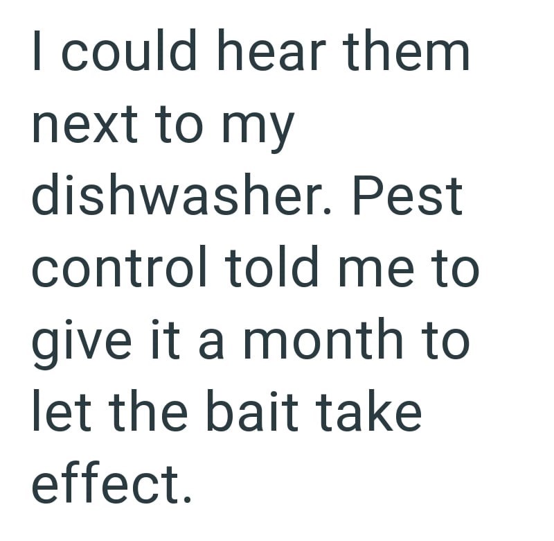I could hear them next to my dishwasher. Pest control told me to give it a month to let the bait take effect.